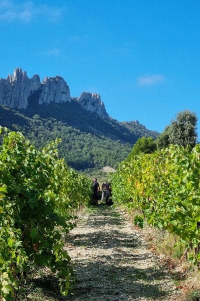 Domaine De Fenouillet