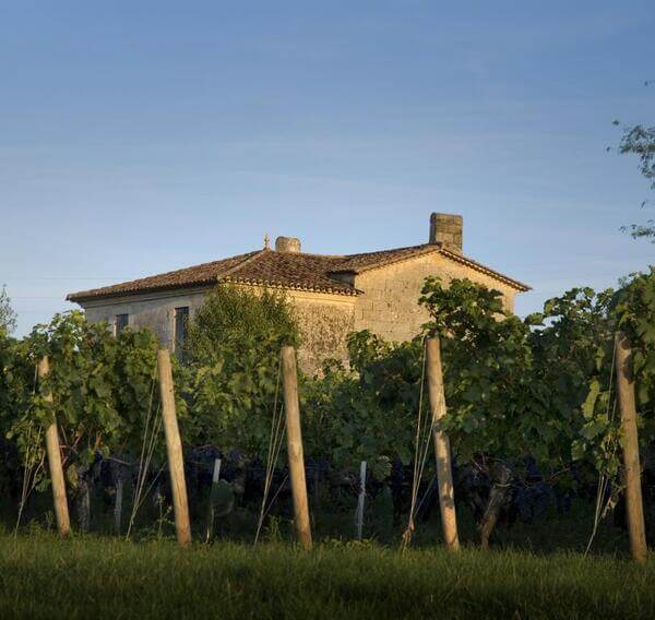 Château PETIT FOMBRAUGE