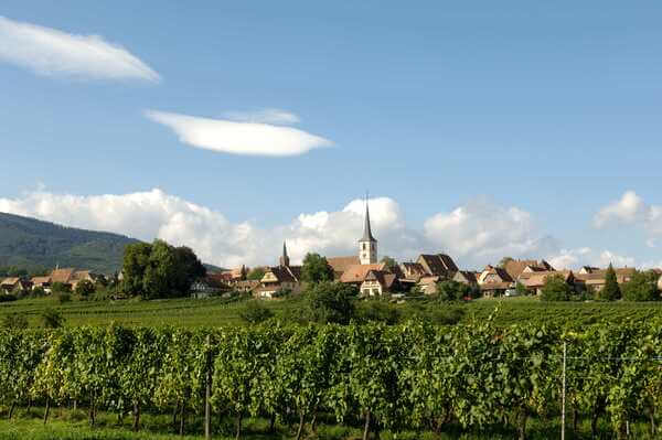 Domaine Boeckel