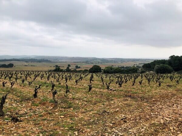 Domaine Boudau