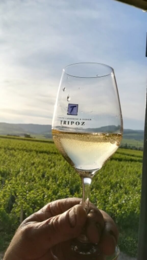 Domaine Catherine et Didier Tripoz