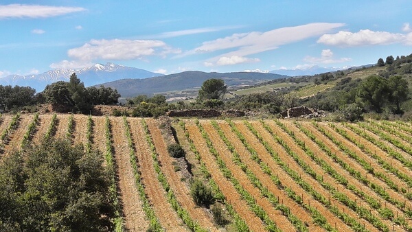 Domaine FONTANEL