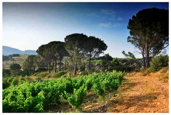 Domaine FONTANEL