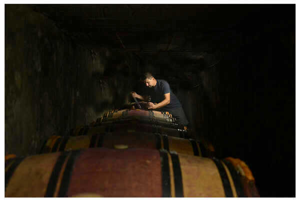 Domaine FONTANEL
