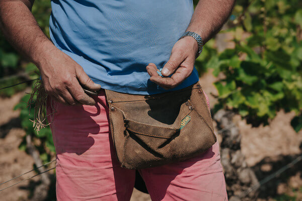 Domaine JOILLOT