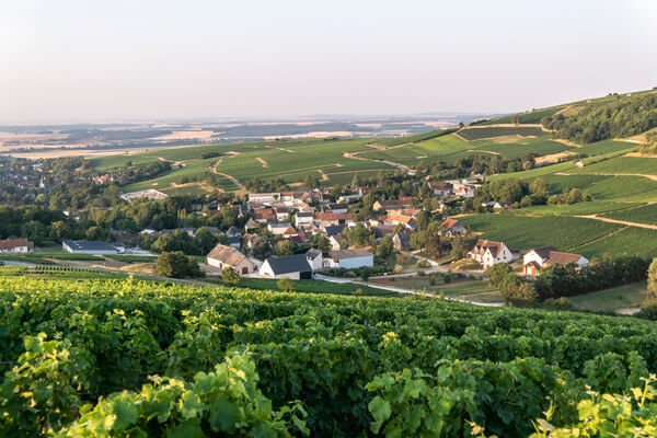 Domaine Jean-Paul Picard et Fils