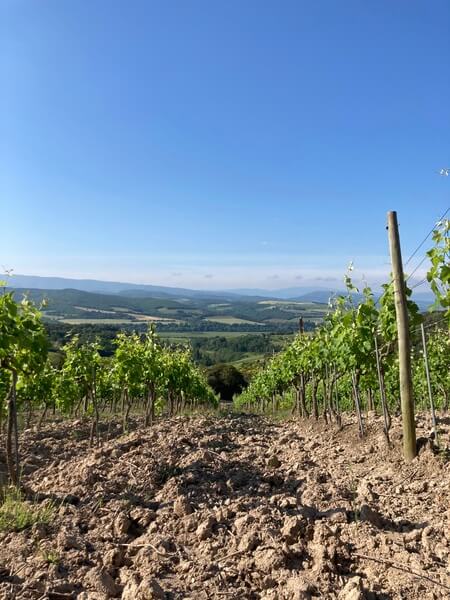 Domaine LA COUME-LUMET