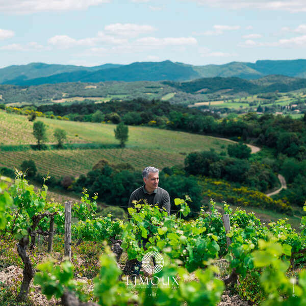 Domaine LA COUME-LUMET