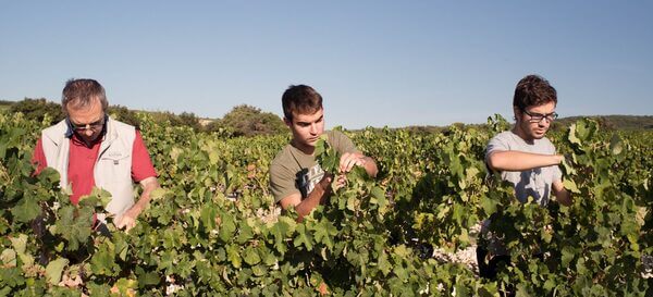 Domaine Lafond Roc-Épine