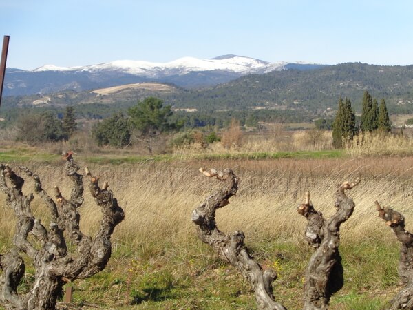 Domaine Lignères-Lathenay