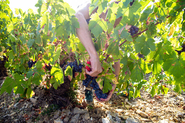 Domaine Lignères-Lathenay