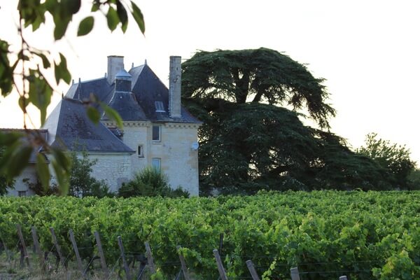 Domaine M. PLOUZEAU