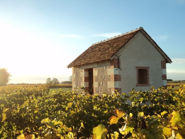 Domaine Pré Baron