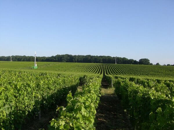 Domaine ROUX