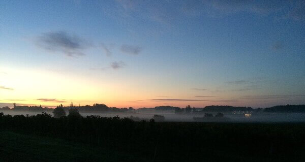 Domaine SAINT-LANNES