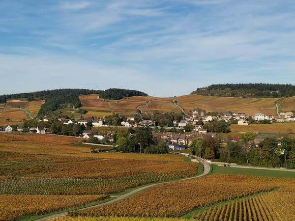 Domaine THEULOT-JUILLOT