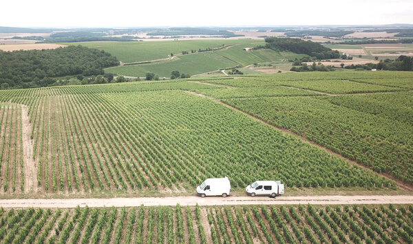 Domaine THIERRY MERLIN CHERRIER