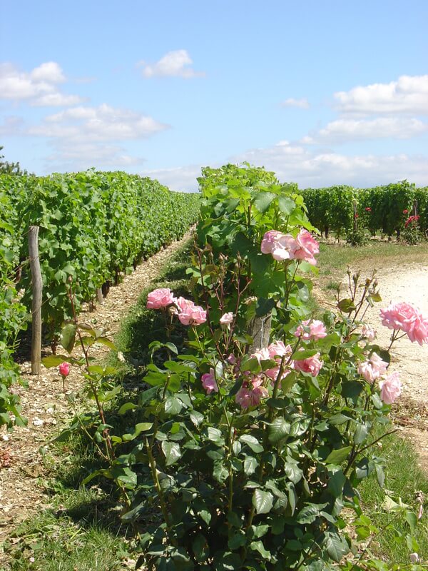 Domaine de BEL AIR