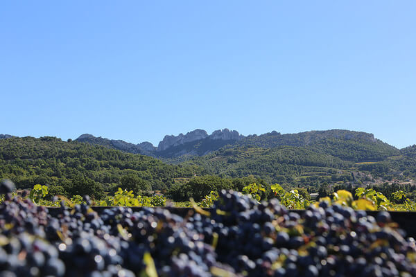 Domaine de Boissan