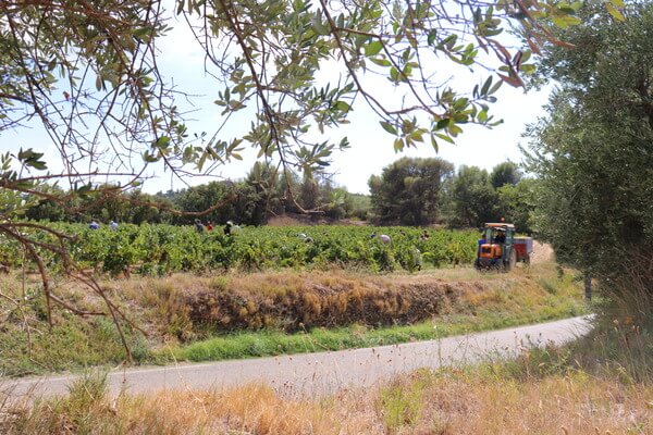 Domaine de Cristia