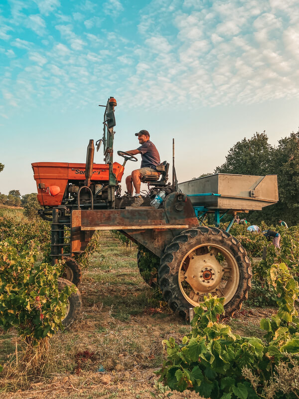 Domaine de Cristia