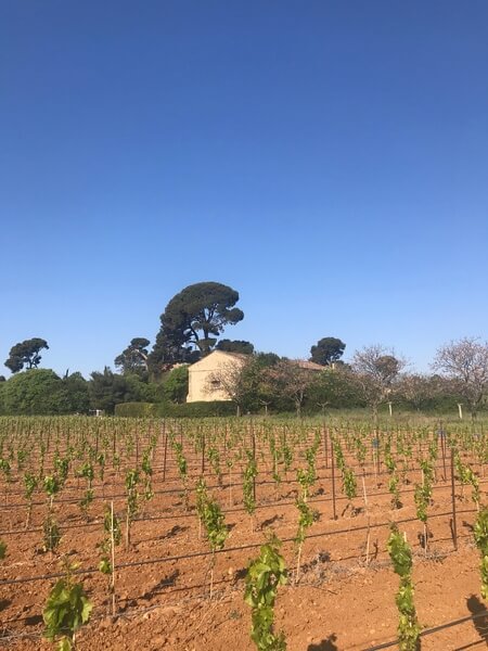 Domaine de MONT D’HORTES