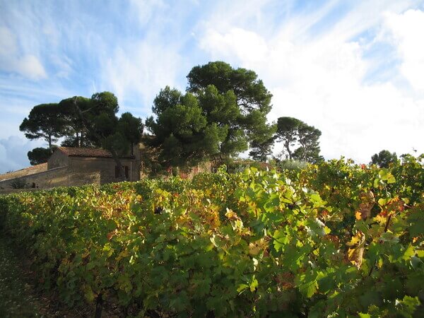 Domaine de MONT D’HORTES
