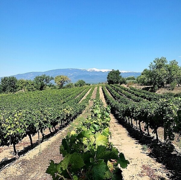 Domaine les Hautes-Berbiguières