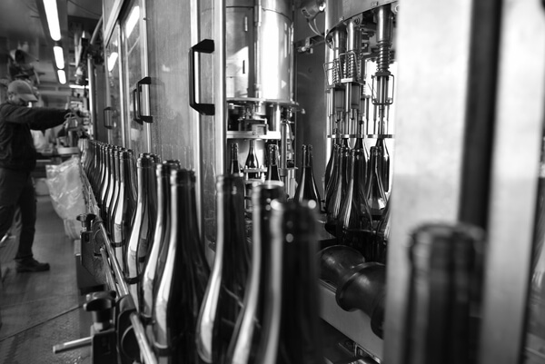 Les Vignerons de VILLEDIEU BUISSON