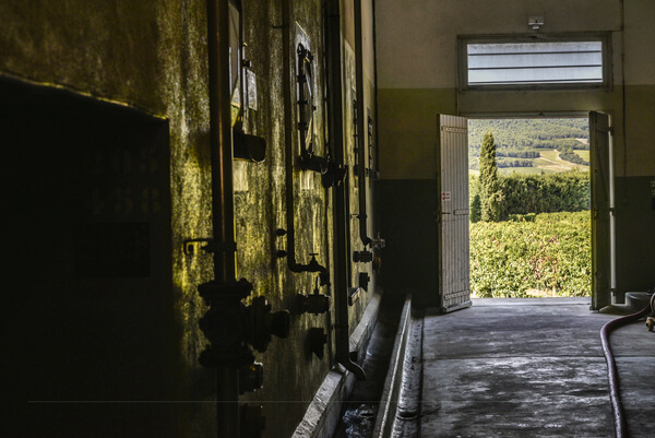 Les Vignerons de VILLEDIEU BUISSON