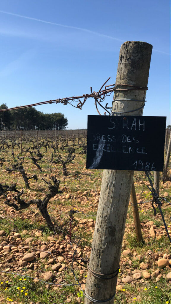 Mas des Bressades
