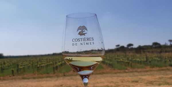 RICOME Vignerons