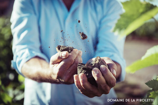 TERROIRS ET TALENTS