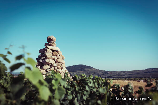 TERROIRS ET TALENTS
