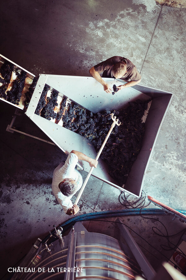 TERROIRS ET TALENTS