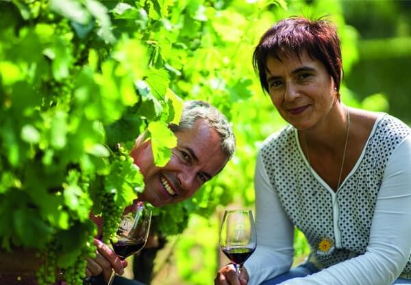 Vignobles BRUNOT