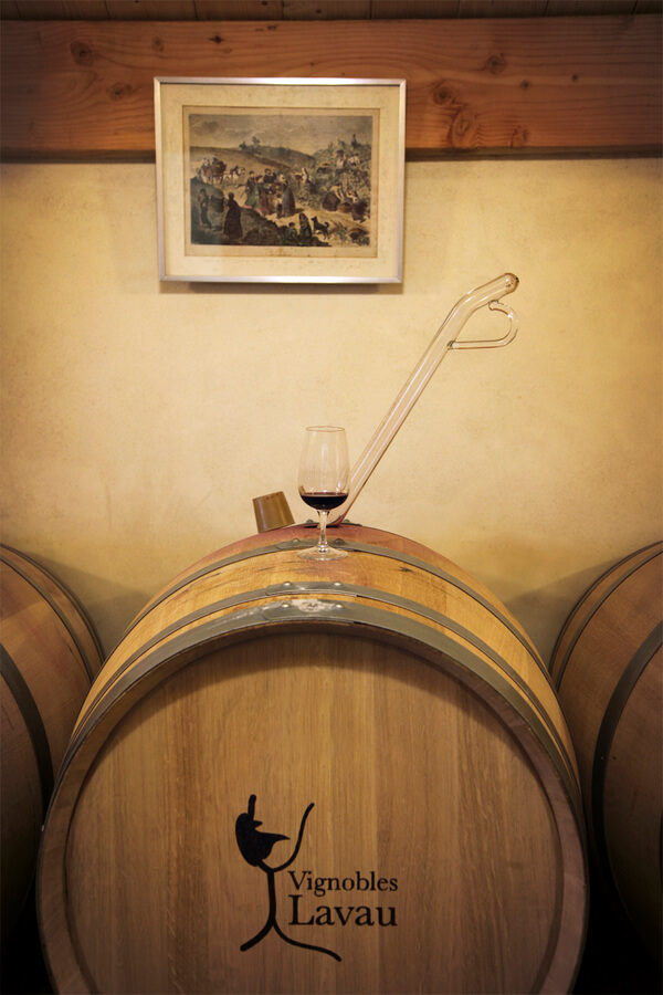 Vignobles LAVAU