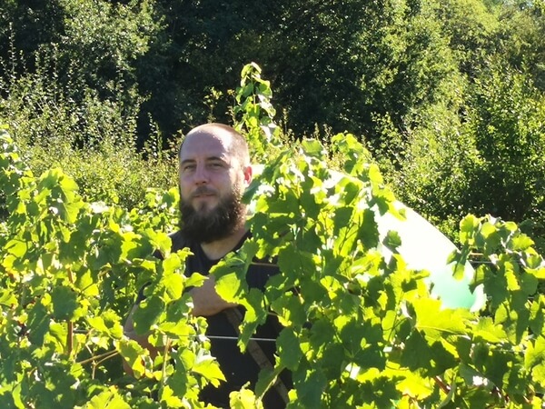 Vignobles LAVAU