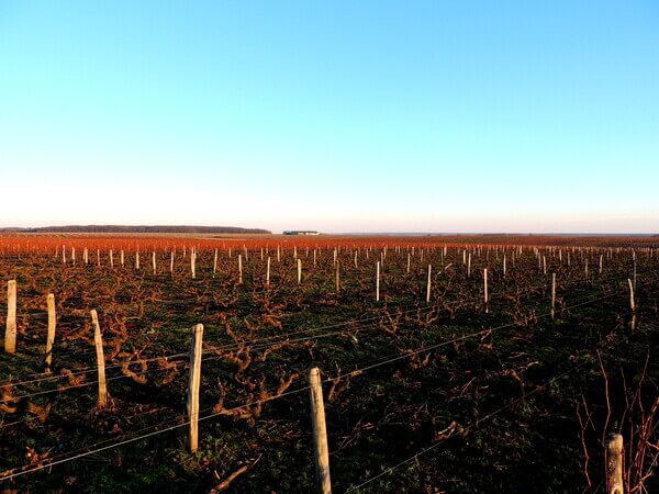 Domaine de la Robinière