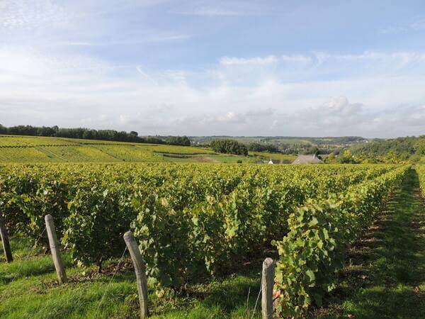 Domaine de la Robinière