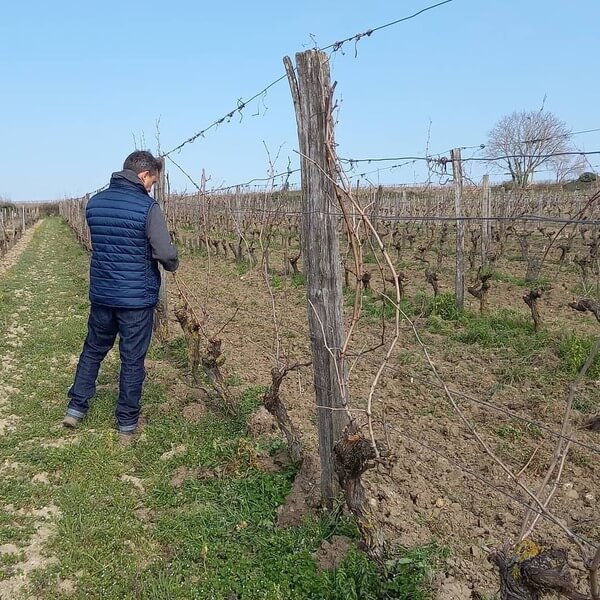 Domaine Fouet