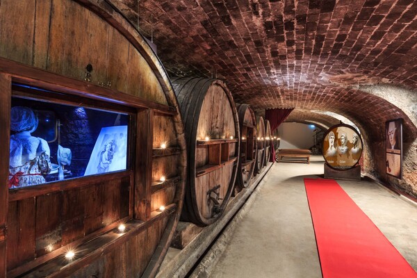 Chateau Saint Martin